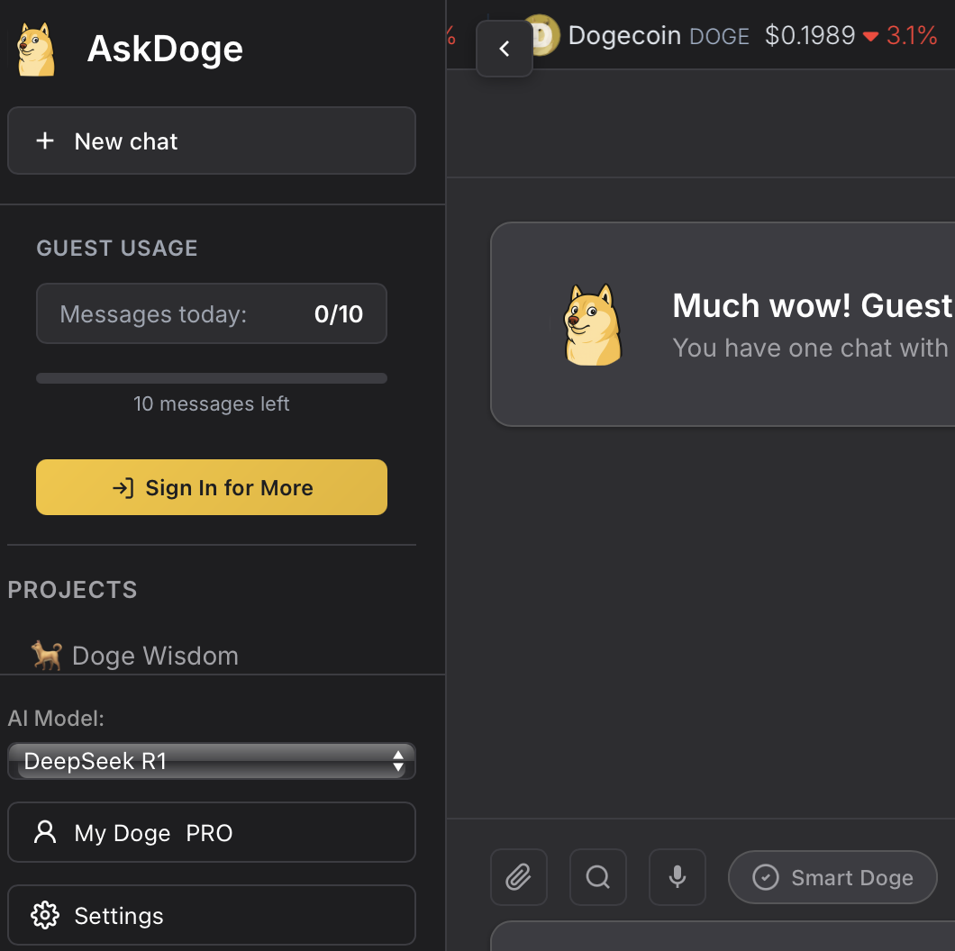AskDoge Chat Interface
